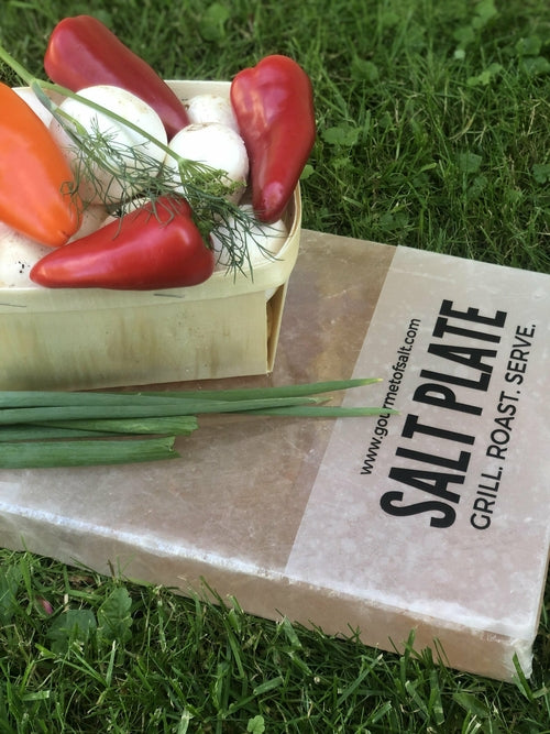 Salt Plate Size XL